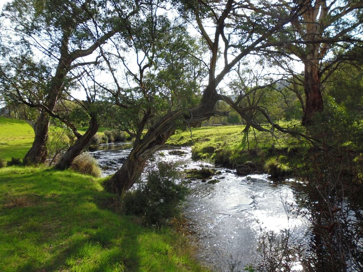 Click to view all images 632 Big Yard Road Moonbah NSW 2627 - Image 3