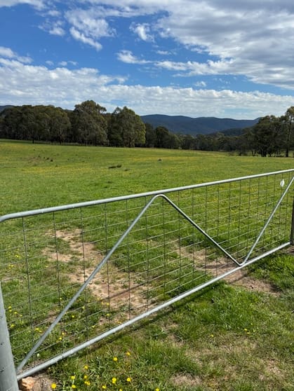 Click to view all images 102 Kain Cross Road Braidwood NSW 2622 - Image 1