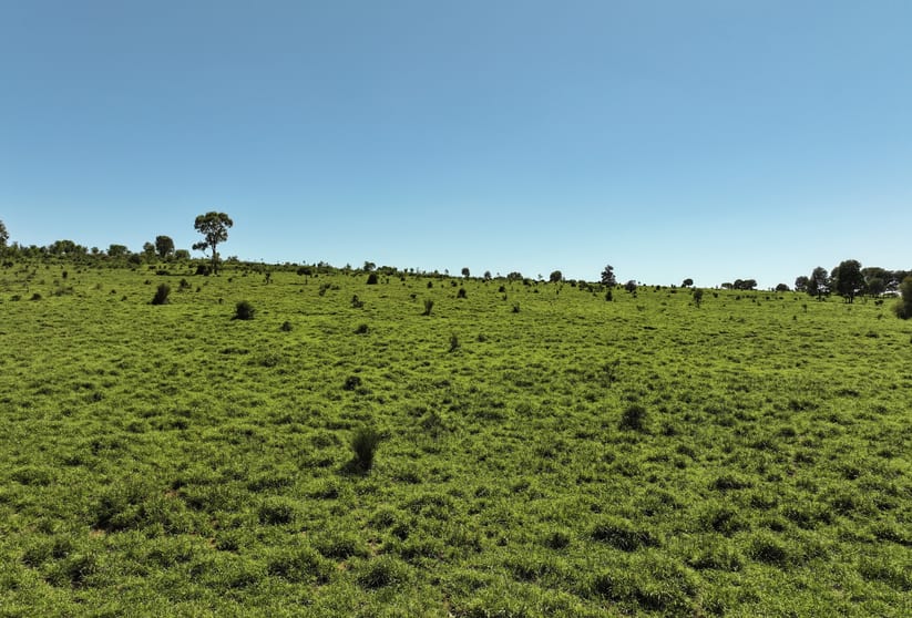 3752 Mitchell Forest Vale Road Mitchell QLD 4465 - Image 2