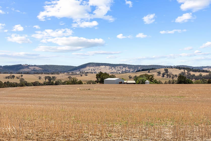 Click to view all images 3818 Lachlan Valley Way Godfreys Creek NSW 2586 - Image 2