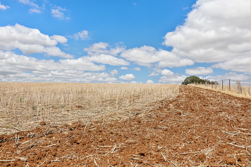 Click to view all images 3818 Lachlan Valley Way Godfreys Creek NSW 2586 - Image 3