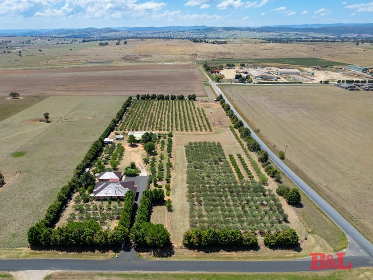 Click to view all images 7 Melrose Drive Raglan NSW 2795 - Image 2