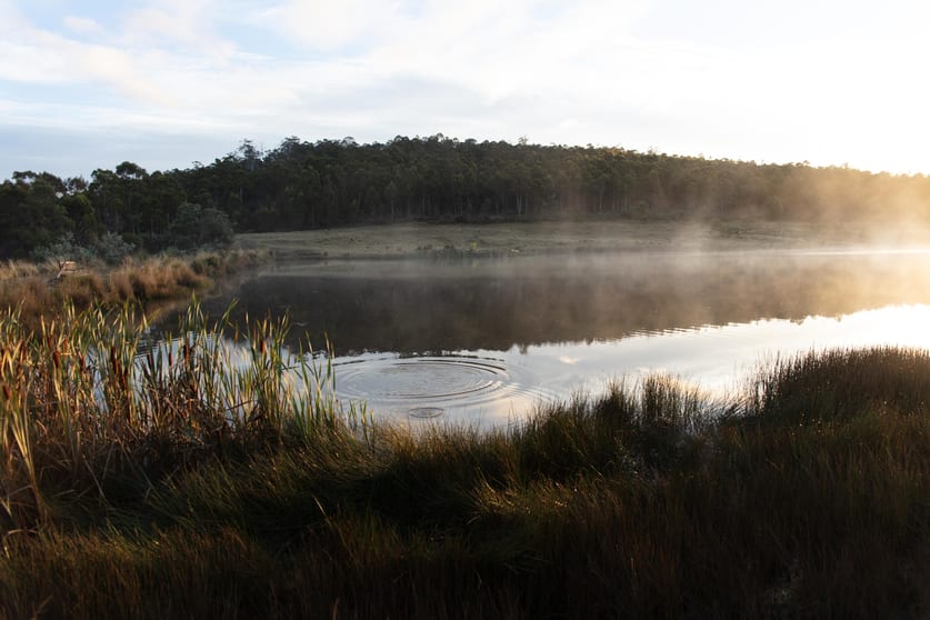 2413 Nugent Road Buckland TAS 7190 - Image 1