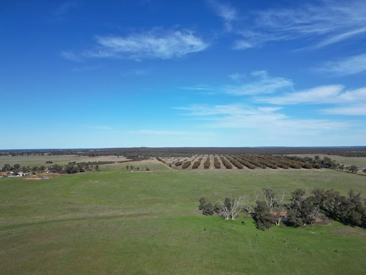 Click to view all images 603 Charcoal Tank Road West Wyalong NSW 2671 - Image 1