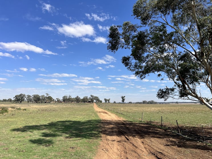 Click to view all images 603 Charcoal Tank Road West Wyalong NSW 2671 - Image 2