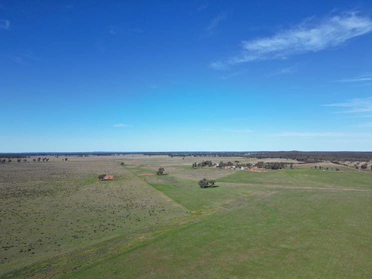 Click to view all images 603 Charcoal Tank Road West Wyalong NSW 2671 - Image 3