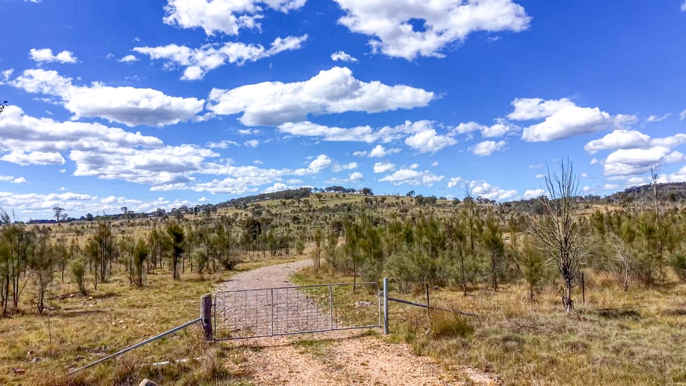 Click to view all images Lot 570 Tarban Road Tenterfield NSW 2372 - Image 2