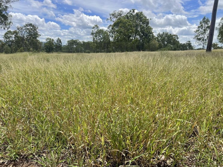 99 Valley Run Road Boyne Valley QLD 4680 - Image 3