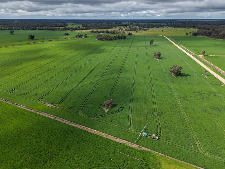 391 Boxdale Road Deniliquin NSW 2710 - Image 1