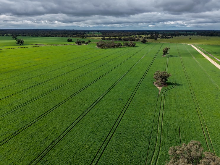 391 Boxdale Road Deniliquin NSW 2710 - Image 2