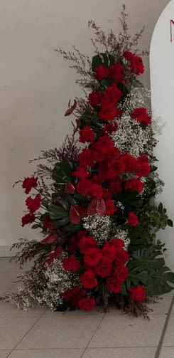 Click to view all images Florist / Nursery business for sale in Oakleigh - Image 2