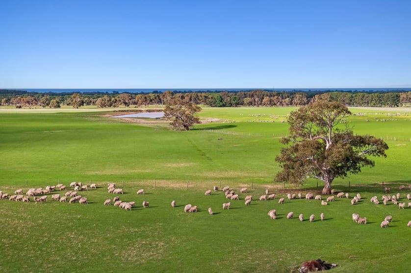 Click to view all images 391-519 Queenscliff Road Portarlington VIC 3223 - Image 3