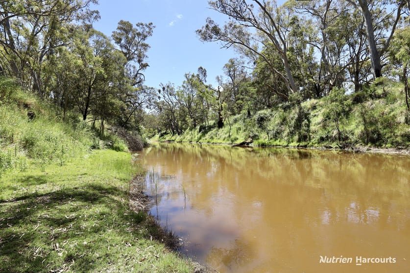 128 Ponderosa Road Strathdownie VIC 3312 - Image 3
