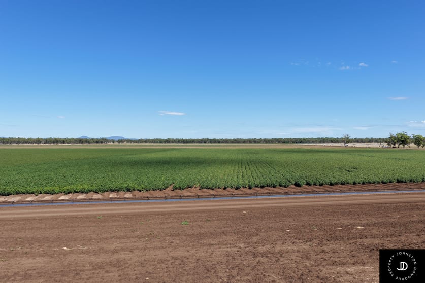 Click to view all images 113 Kilphysic Road Carroll NSW 2340 - Image 3