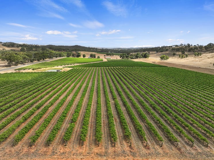 Click to view all images 285 Neagles Rock Road Clare SA 5453 - Image 2