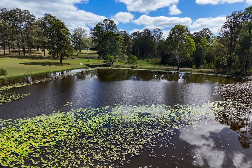 1512 Collombatti Road Collombatti NSW 2440 - Image 2