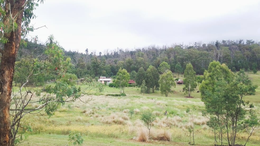 1196 Nullo Mountain Rd Nullo Mountain NSW 2849 - Image 3