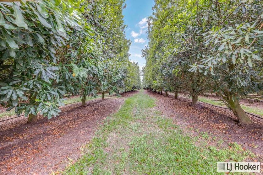 Click to view all images 214 Thomasens Road Alloway QLD 4670 - Image 3