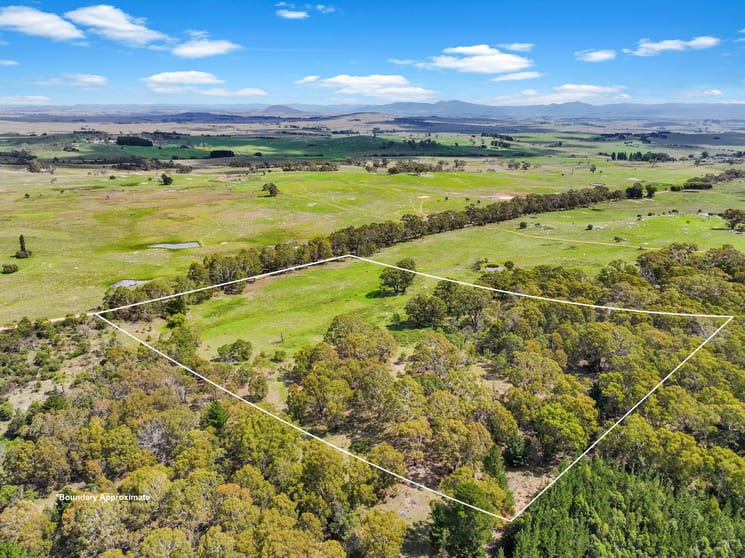 Click to view all images 195 Halls Lane Braidwood NSW 2622 - Image 3