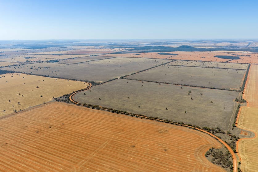 83 Cornells Road Condobolin NSW 2877 - Image 1