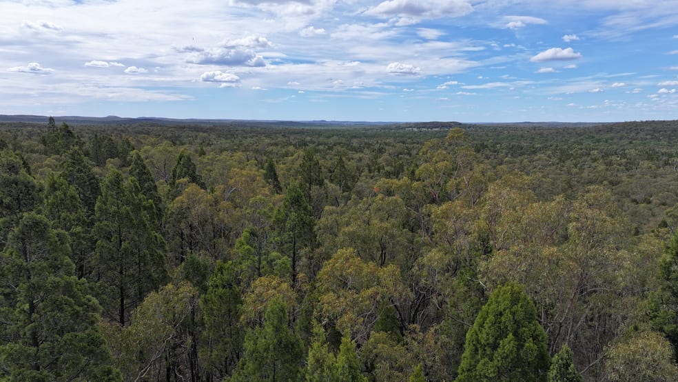 Click to view all images 50 Aquilla Ave Coonabarabran NSW 2357 - Image 2