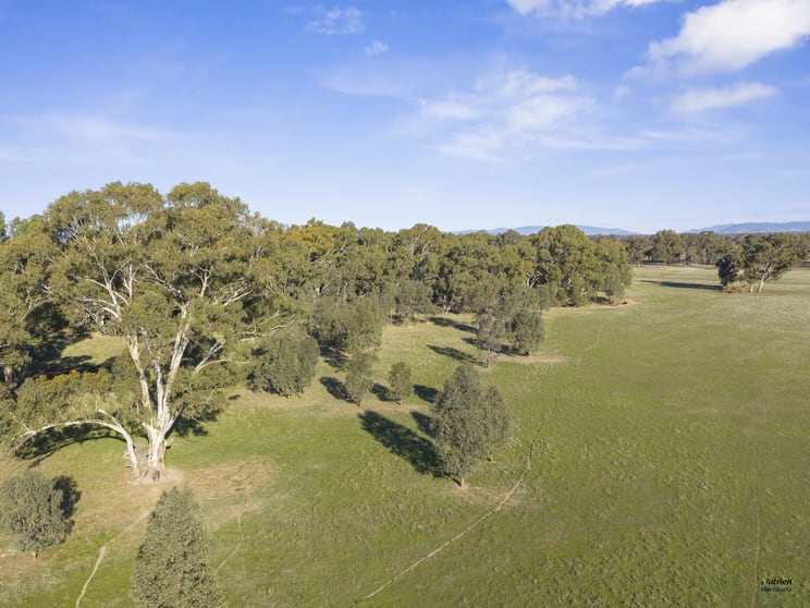 Click to view all images Cnr Burness Rd & Four Mile Rd Benalla VIC 3672 - Image 3
