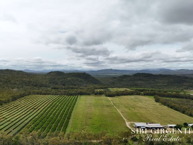 78 Fabris Road Dimbulah QLD 4872 - Image 2