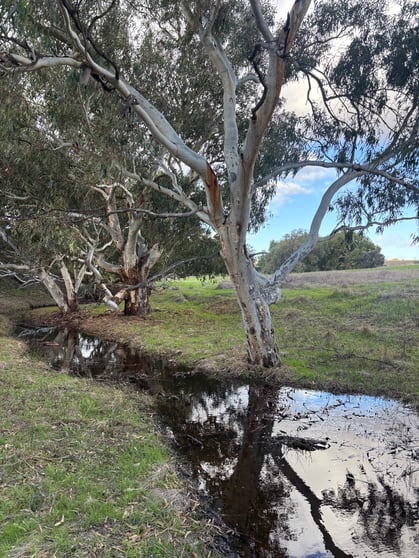 Click to view all images Lot 1 Giles Road Moonyoonooka WA 6532 - Image 2