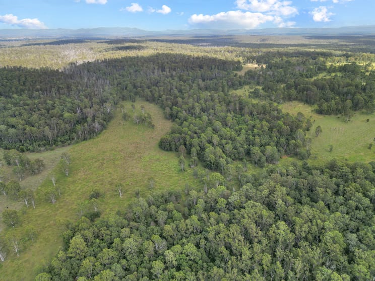 Click to view all images Lot 145 Ellangowan Myrtle Creek Road Ellangowan Via Casino NSW 2470 - Image 2