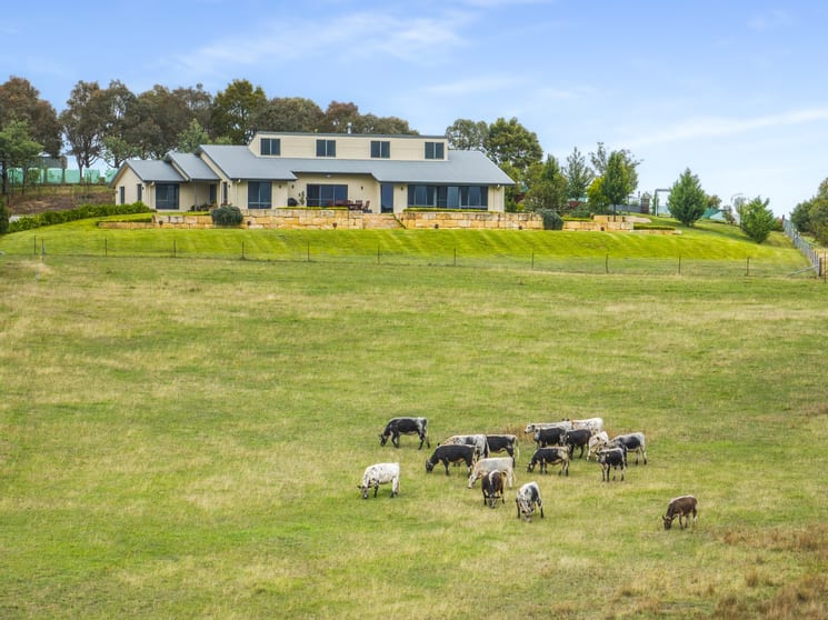 500 Portland Sunny Corner Road Portland NSW 2847 - Image 1