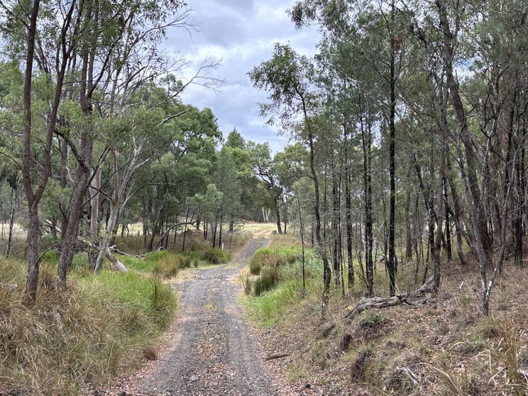 2875 Newell Highway Rocky Glen NSW 2357 - Image 2