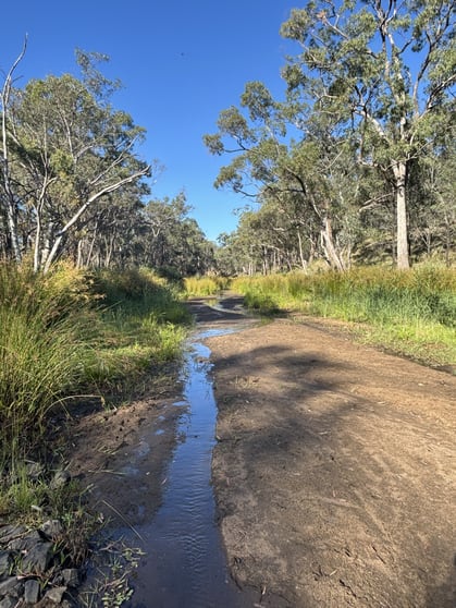 2875 Newell Highway Rocky Glen NSW 2357 - Image 3