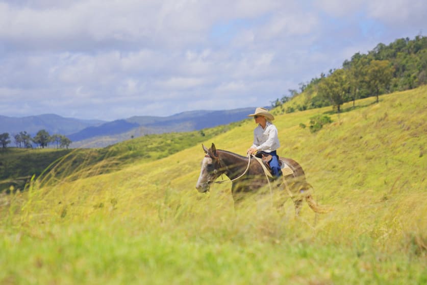 "PARADISE" 256 Paradise Road Mount Sylvia QLD 4343 - Image 1