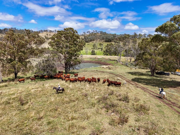 "PARADISE" 256 Paradise Road Mount Sylvia QLD 4343 - Image 2