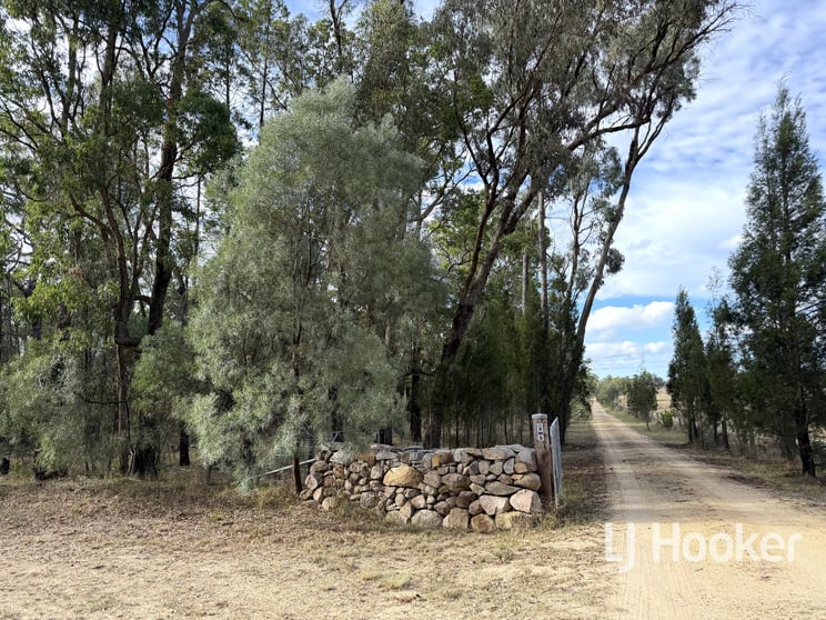 1363 Howell Road Howell NSW 2360 - Image 3