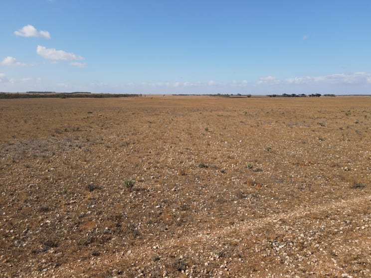 Lot 1 Schulzs Road Cambrai SA 5353 - Image 1