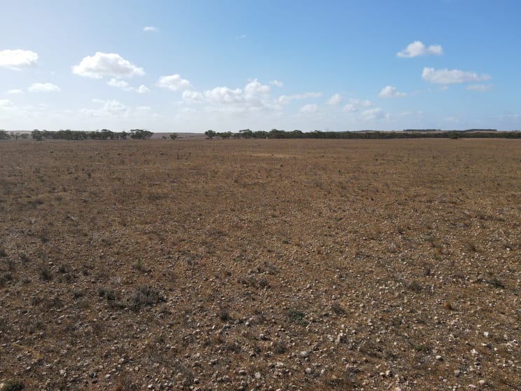 Lot 1 Schulzs Road Cambrai SA 5353 - Image 2