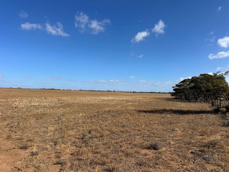 Lot 1 Schulzs Road Cambrai SA 5353 - Image 3