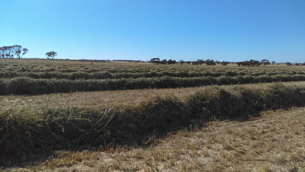 1100 Propodollah Road Nhill VIC 3418 - Image 3