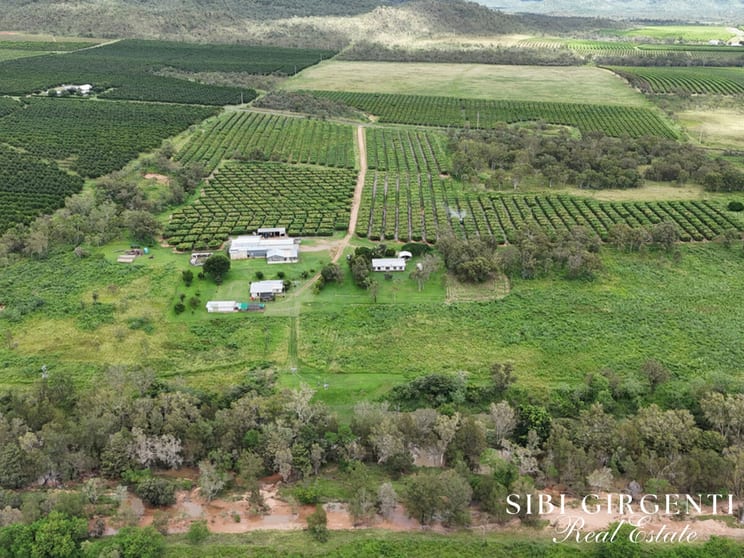 227 Top Eureka Dimbulah QLD 4872 - Image 2