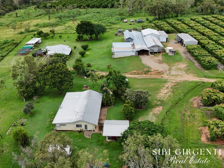 227 Top Eureka Dimbulah QLD 4872 - Image 1