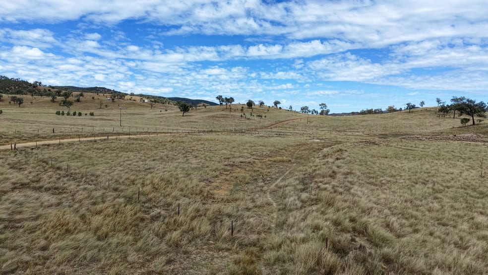 Click to view all images 1213 Mole River Road Tenterfield NSW 2372 - Image 3