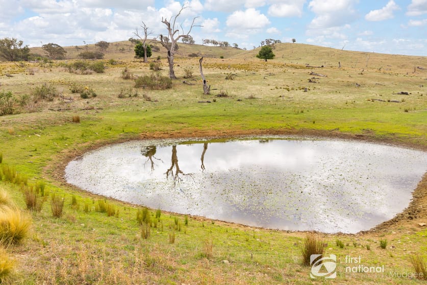 763 Old Grattai Road Mudgee NSW 2850 - Image 2
