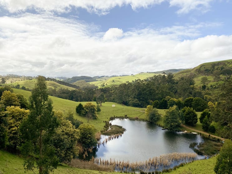 Click to view all images 1725 Wild Dog Valley Strzelecki VIC 3950 - Image 2