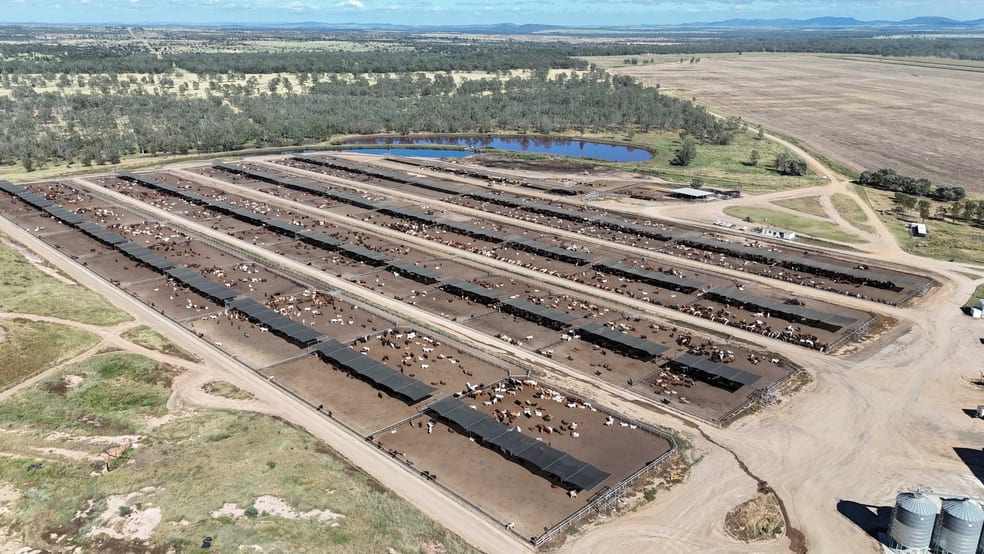 2687 Dawson Developmental Road Springsure QLD 4722 - Image 1