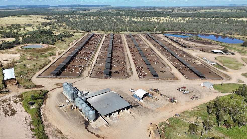 2687 Dawson Developmental Road Springsure QLD 4722 - Image 2