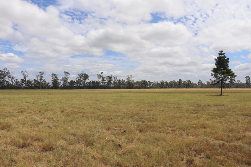 Click to view all images 225 Beils Road Inverlaw QLD 4610 - Image 1