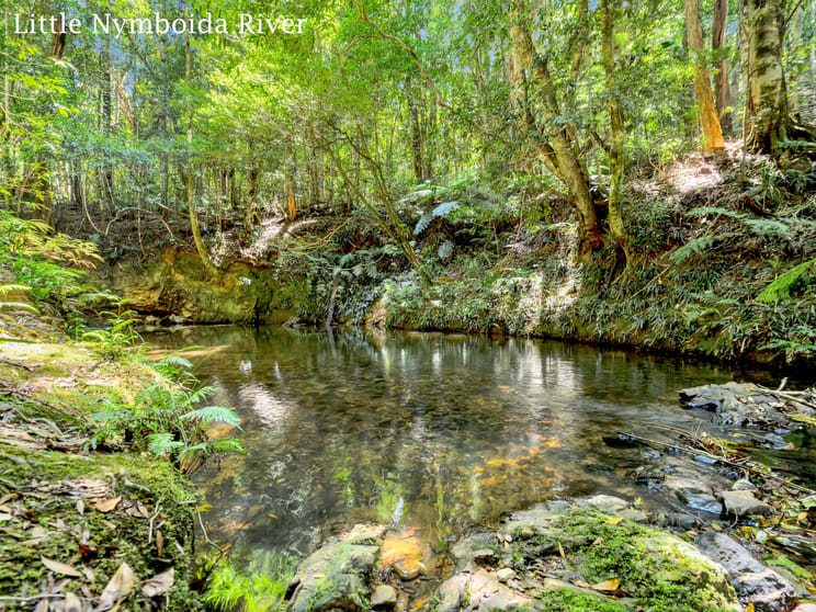 Click to view all images 1445 Eastern Dorrigo Way Lowanna NSW 2450 - Image 3