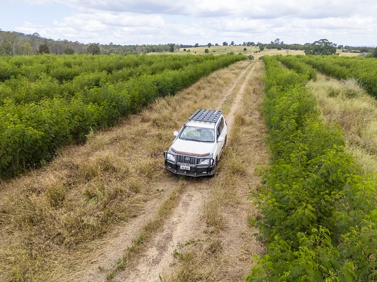 242 Reidy's Road Wooroonden QLD 4605 - Image 2