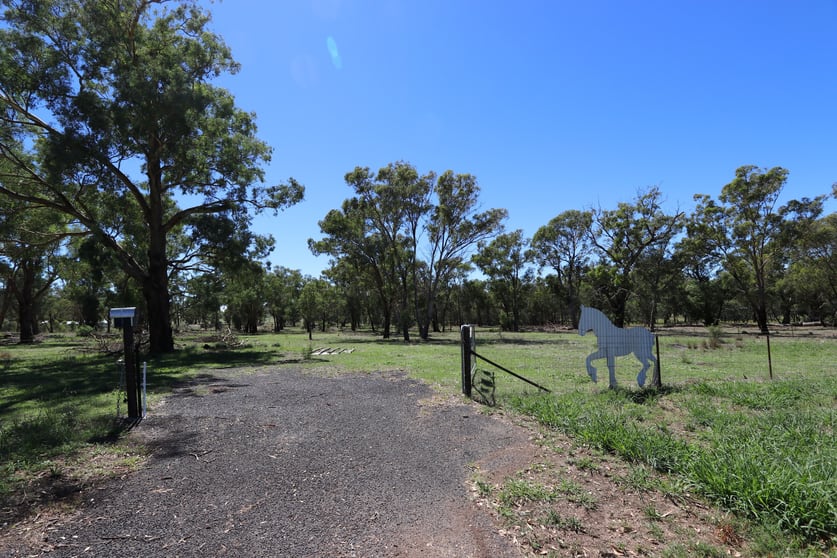 52 BENDICK MURRELL ROAD, Bendick Murrell via Young NSW 2594 - Image 1